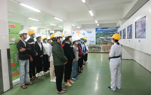 Kiến tập Acecook Đà Nẵng