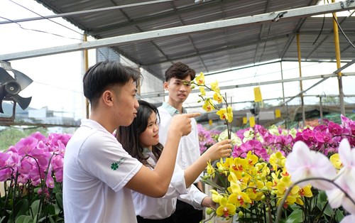 Sinh Viên Nông Nghiệp Tham Quan Học Hỏi Kỹ Thuật Trồng Lan Hồ Điệp Dịp Tết 2023 