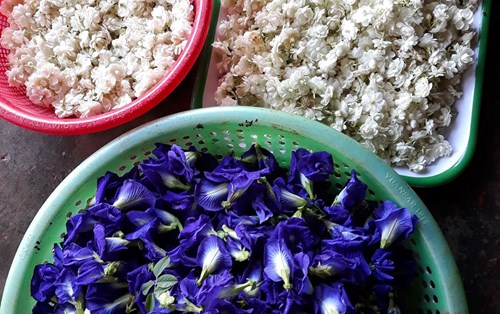 BẠN ĐÃ TỪNG NGHĨ ĐẾN KHỞI NGHIỆP “DOANH NGHIỆP NÔNG NGHIỆP”?