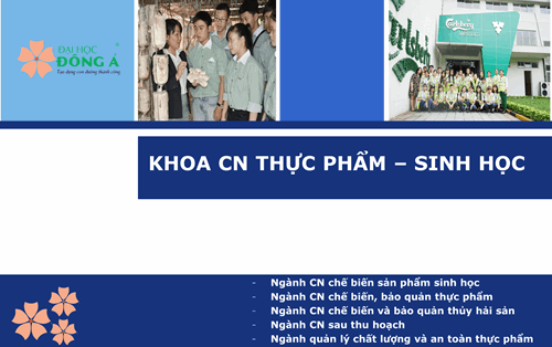 Lý do nào khiến ngành công nghệ thực phẩm tại  Đại học Đông Á chưa bao giờ hết “hot”