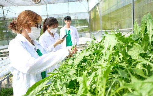 Học Gì Tại Ngành Nông Nghiệp Trường Đại Học Đông Á?
