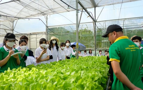 Làm Việc Chuyên Nghiệp Trong Môi Trường Nông Nghiệp, Bạn Có Nghĩ Vậy?