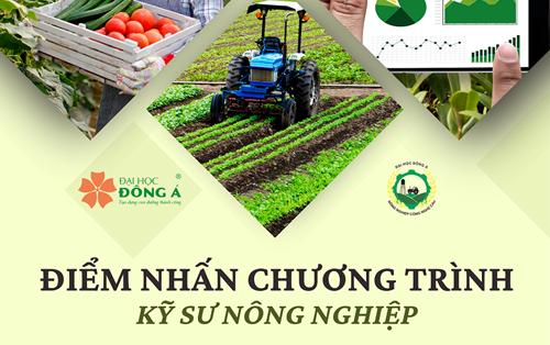 Các Module Trong Chương Trình Kỹ Sư Nông Nghiệp Tại ĐH Đông Á