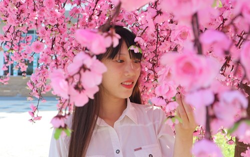 Hướng dẫn đăng ký xét tuyển vào trường ĐH Đông Á năm 2017-2018