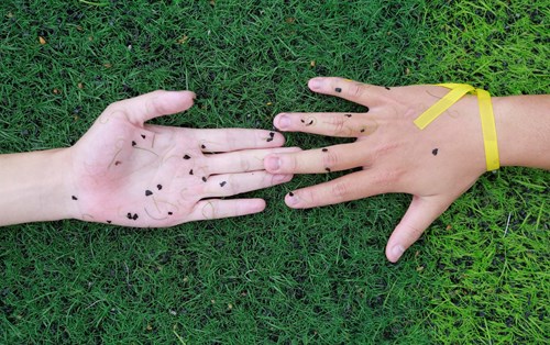 HOẠT ĐỘNG TEAM BUILDING DÀNH CHO TÂN SINH VIÊN KHOÁ 22 - GIAO LƯU GIỮA KHOA THỰC PHẨM VÀ KHOA ĐIỆN - ĐIỆN TỬ