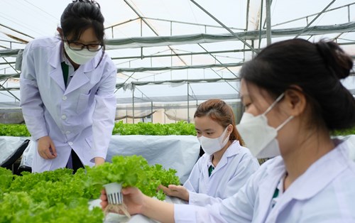 Sinh Viên Tham Quan Thực Hành Tại Trang Trại Công Nghệ Cao Của Doanh Nghiệp
