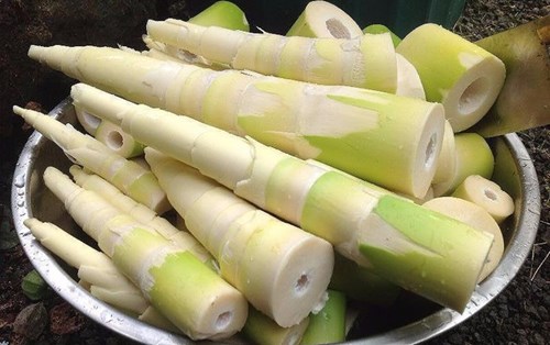 Độc tố trong măng tươi