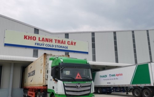 Công ty Cổ phần Ô tô Trường Hải (THACO) tuyển dụng
