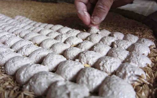 Một số loài nấm men thường gặp trong sản xuất rượu vang