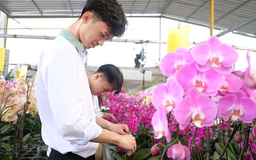 Nhận Hồ Sơ Xét Tuyển Học Bạ Ngành Nông Nghiệp và Ngành Công Nghệ Thực Phẩm