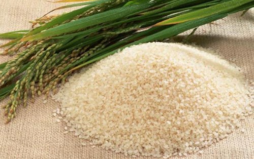 How rice is made