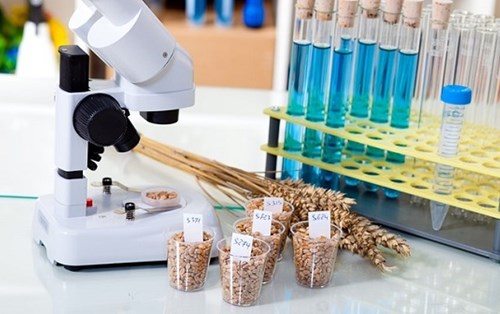 Cẩm nang xin việc ngành thực phẩm