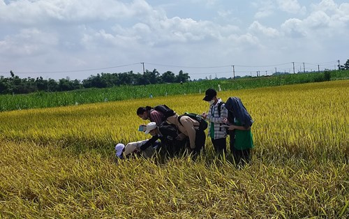 Thực hành Module 1 "Chọn giống và nuôi trồng" đợt 1
