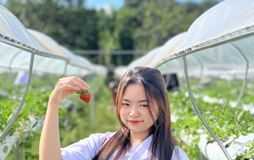Sinh Viên Khoa Thực Phẩm Thực Hành Chuẩn Bị Dung Dịch Dinh Dưỡng Cho Trồng Rau Tại Doanh Nghiệp  