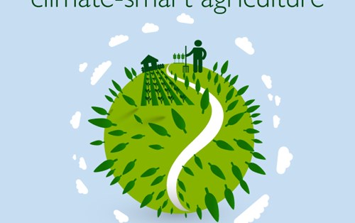 Nông Nghiệp Thông Minh Thích Ứng Biến Đổi Khí Hậu Là Gì? What Is Climate Smart Agriculture?