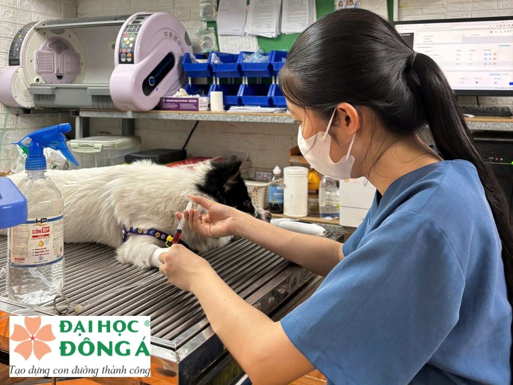 KỸ NĂNG VÀ ĐẠO ĐỨC CẦN THIẾT CHO NGHỀ NGHIỆP